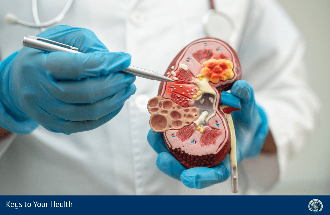 erw kidney disease