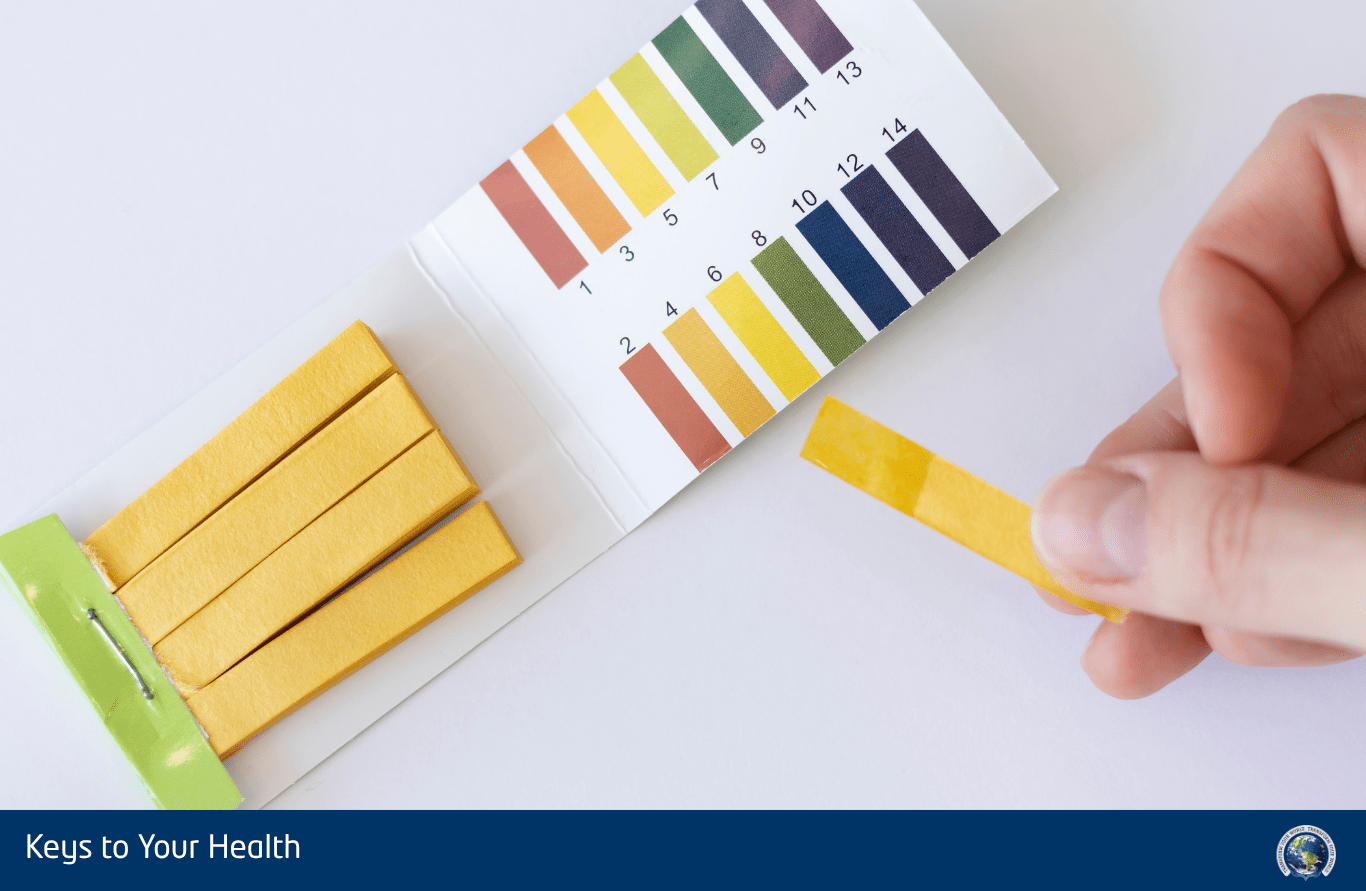 difference between ph and alkalinity​